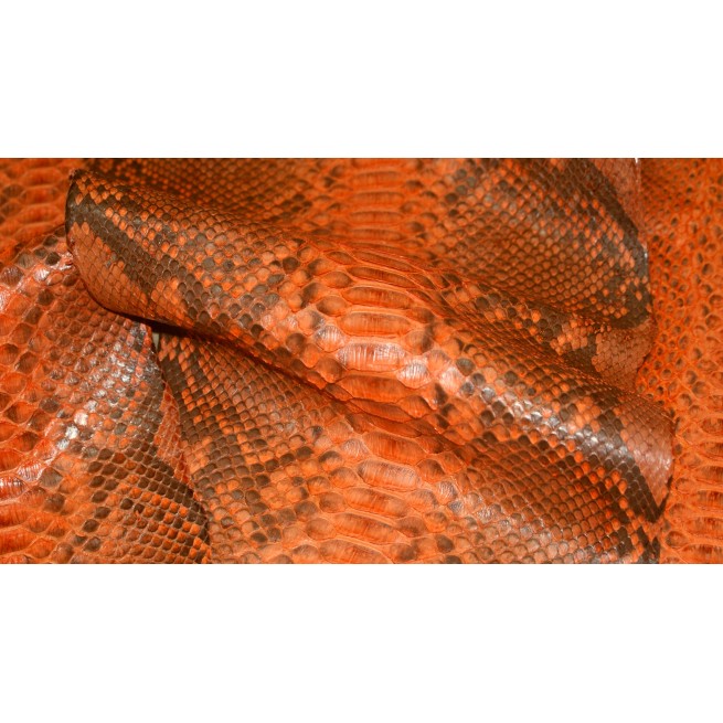 Aligo Group фото